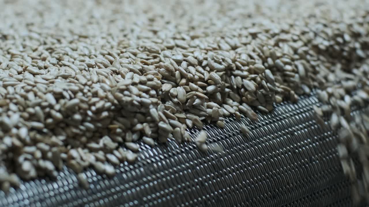 많은 씨, 태양광 씨, 베이킹 기계, 움직이는 긴 태양광씨, 기계에서 나온 음식 생산.