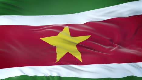 suriname flag waving in the wind with highly detailed fabric texture. seamless loop