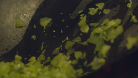 Sprinkling-chopped-peppers-and-herbs-on-a-sauce-pan-on-a-wood-fire-grill---isolated-close-up