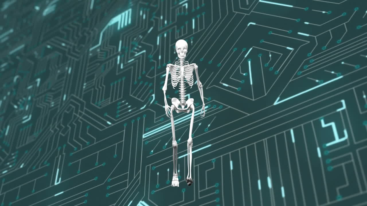 animación de un modelo humano y procesamiento de datos en una placa de circuitos