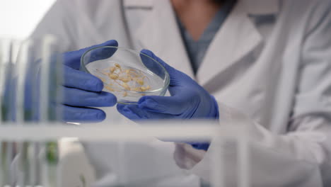 scientist holding petri dish with seeds