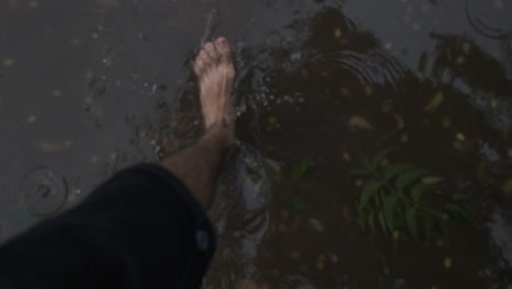 super slow motion hairy white male feet walking barefoot through a muddy puddle full of vegetation from above