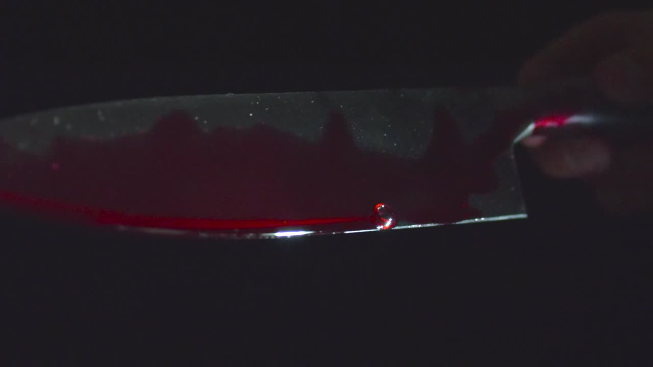 피 묻은 칼 따라 추적