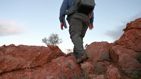 Man-walking-past,-flowering-desert-plants,-Outback-Australia