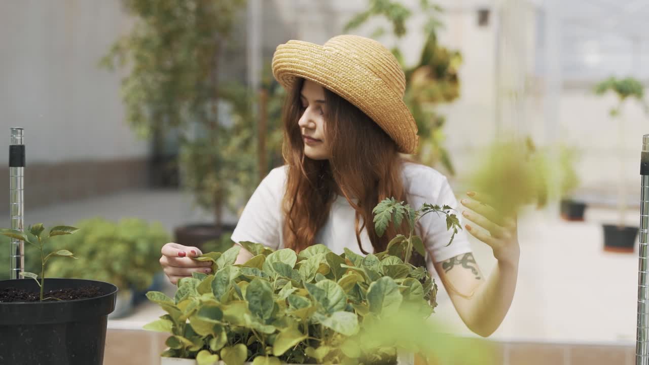 Close-up portrait of a gardener woman looking at tomatoes