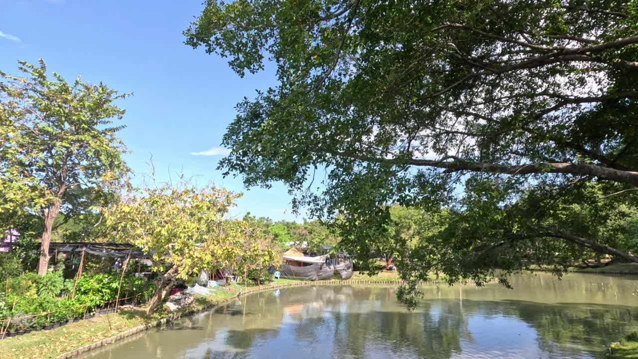 부드러운 폭포 를 가진 조용 한 공원 장면
