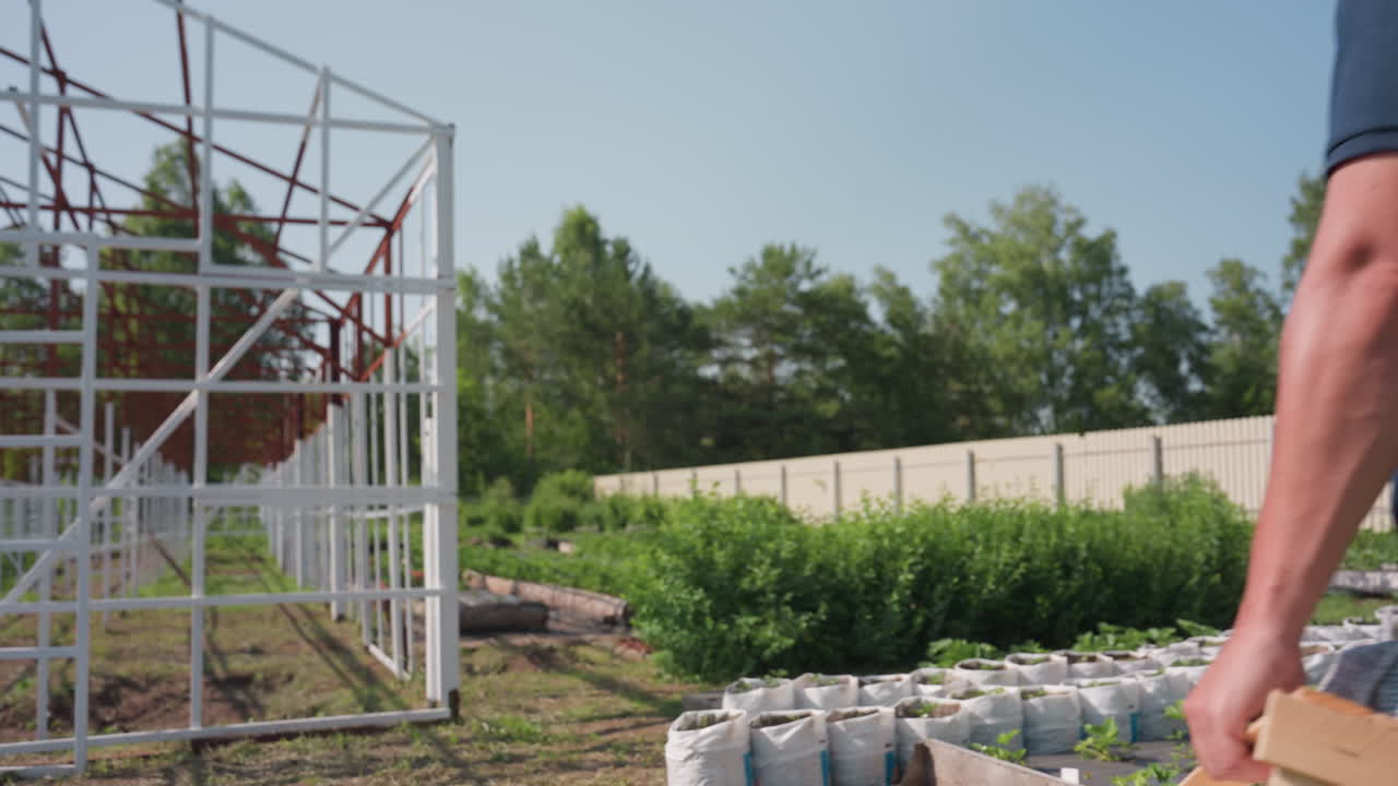 Rear view of farmer standing near farm frame carrying crate inspecting crops wiping sweat from forehead on sunny day surrounded by young plants barrel fence and trees