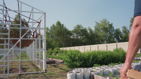 rear view of farmer standing near farm frame carrying crate inspecting crops wiping sweat from forehead on sunny day surrounded by young plants barrel fence and trees