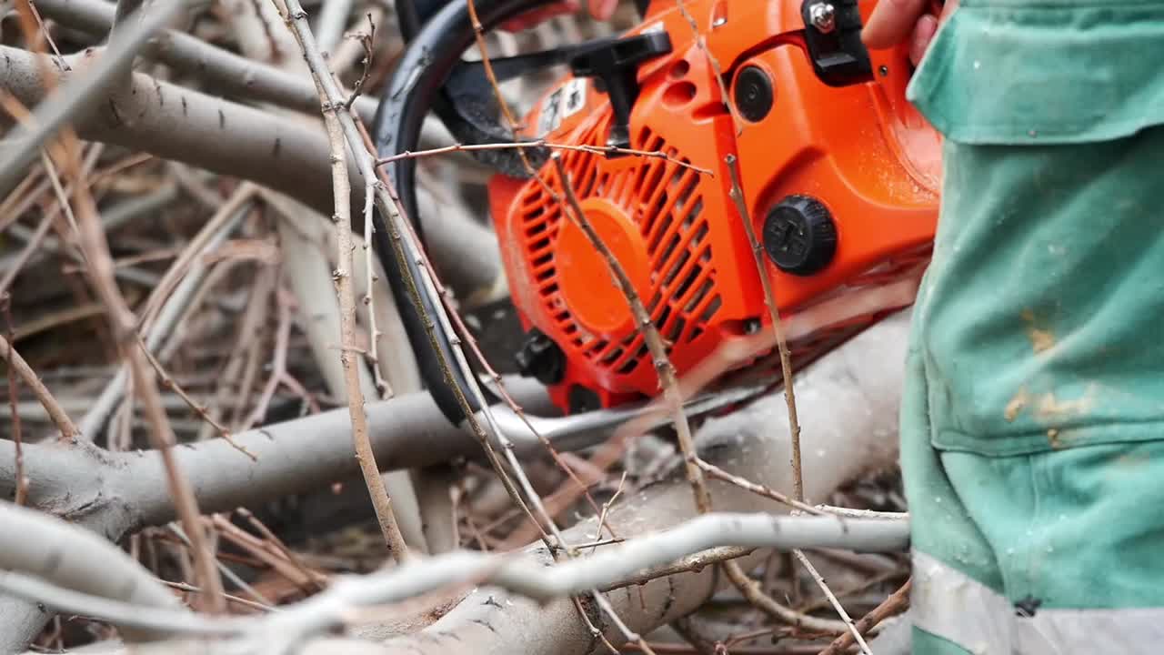 Chainsaw cutting wood in the garden