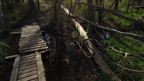 wooden boardwalk over a forest stream with fallen logs