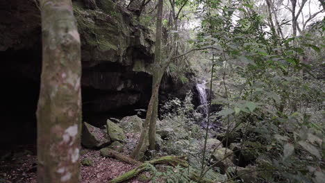 Discover a peaceful small waterfall nestled within a dense forest. The calming sound of water flowing through the lush greenery creates a tranquil and untouched natural setting.