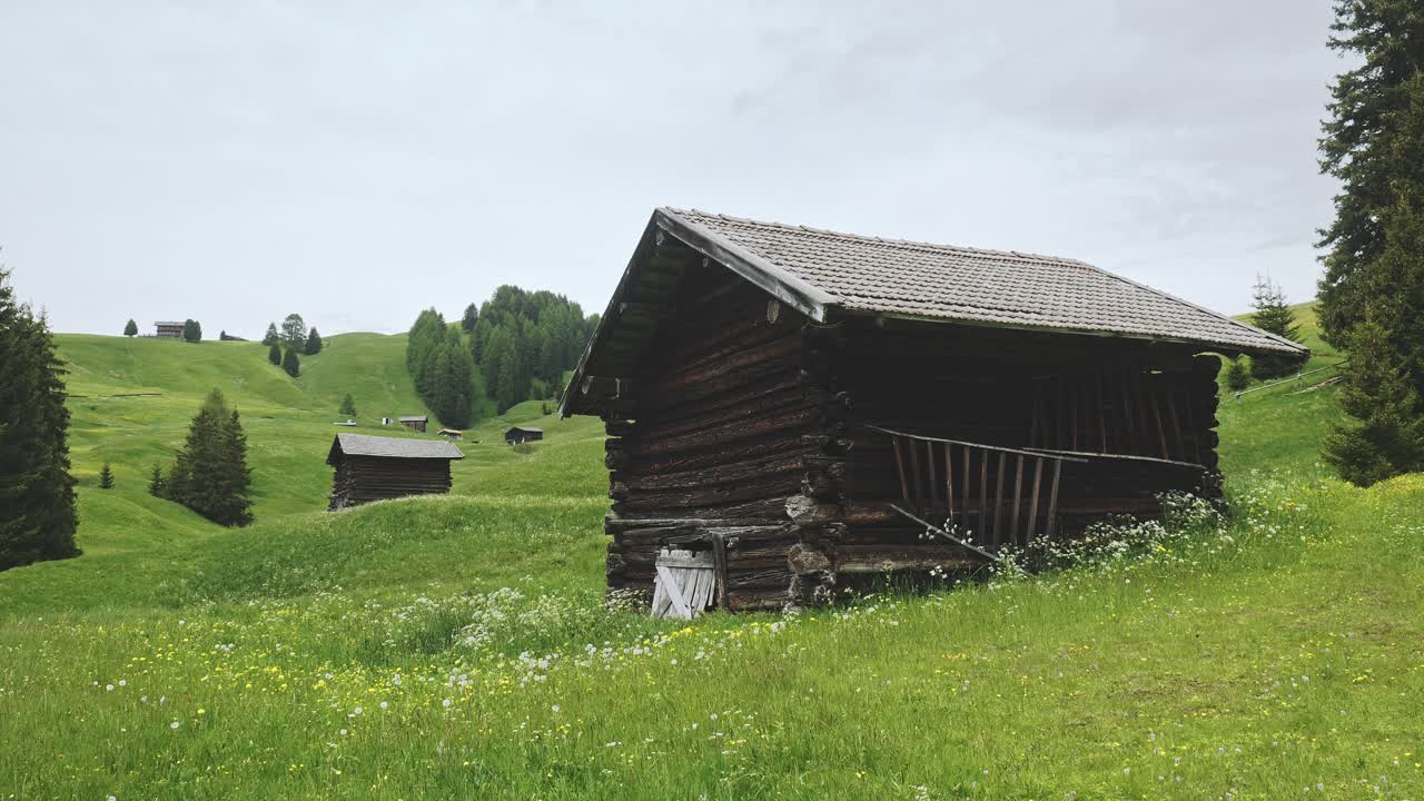 Mountain shepherd huts on Spring Alpine meadow animal grazing pasture
