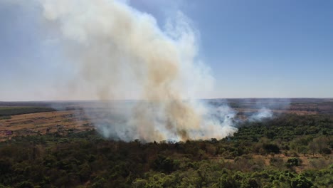 aerial view of fire in cerrado biome native forest, fire, danger, deforestation