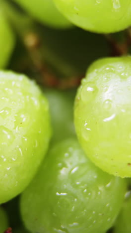 un marco lleno de uvas