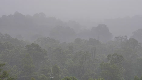 Handaufnahme-Von-Bäumen-Neben-Dem-Hinze-Staudamm-Unter-Starkem-Regen-Während-La-Niña,-Hinterland-Der-Goldküste,-Queensland,-Australien