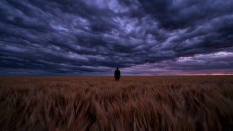 silhouette of a person in a wheat field during a stormy sunset