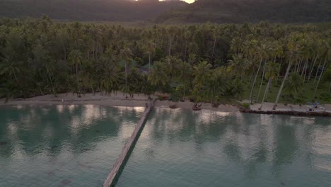 Dichter-Palmendschungel-Am-Morgen-Am-Strand