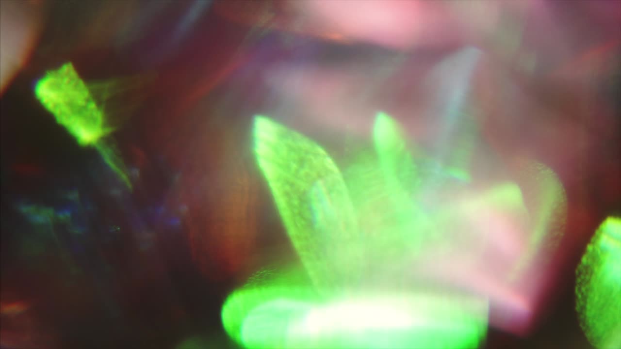 fugas de luz hipnótica para sus proyectos, neón nostálgico soñador fondo iridescente