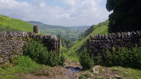 wide shot of dry stone walling with gates looking down cave dale