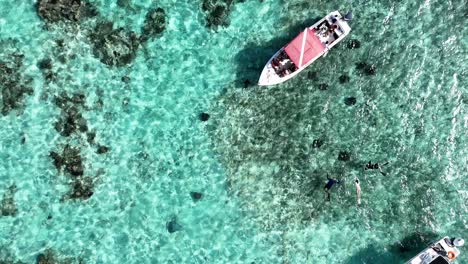 aerial view of people snorkeling in a turquoise ocean with a boat