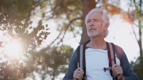 Senior-man-hiking-in-the-forest-on-a-sunny-day-4k