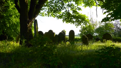 forbidden celtic graveyard with headstone under the trees in wexford, ireland