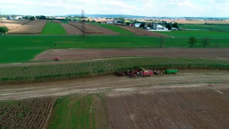 Granjeros-Amish-Cosechando-Cultivos-De-Otoño-Vistos-Por-Un-Dron