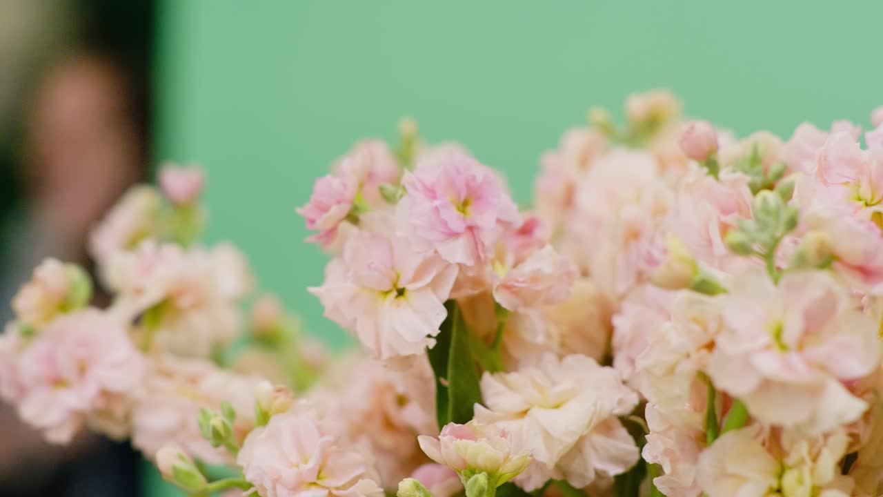 A smooth right-to-left dolly shot with a rack focus that shifts the soft focus from the foreground to the middle of the pink Stock flower bouquet