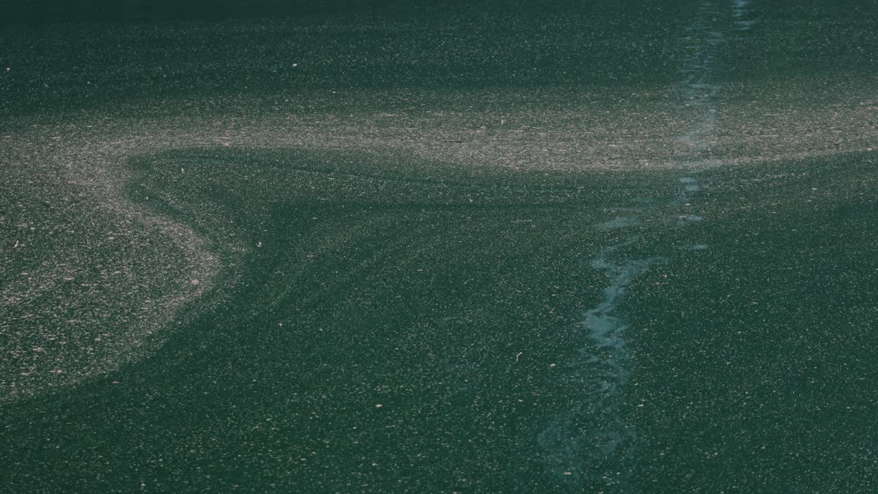 granos de polen flotando en el lago lovatnet en noruega, vista de mano
