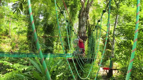 jungle adventure park
