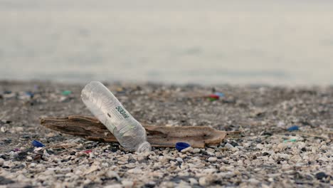 botella vacía arrojada en la playa de khasab, imagen de la contaminación ambiental