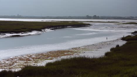 View-of-the-sea-channel,-calm-sea-and-green-grass-on-the-shore-,-cloudy-day-,-Dundalk,-Ireland