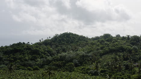 Smooth-low-flight-over-the-tropical-jungle-foliage-and-landscapes-of-the-Dominican-Republic-near-Playa-Rincon