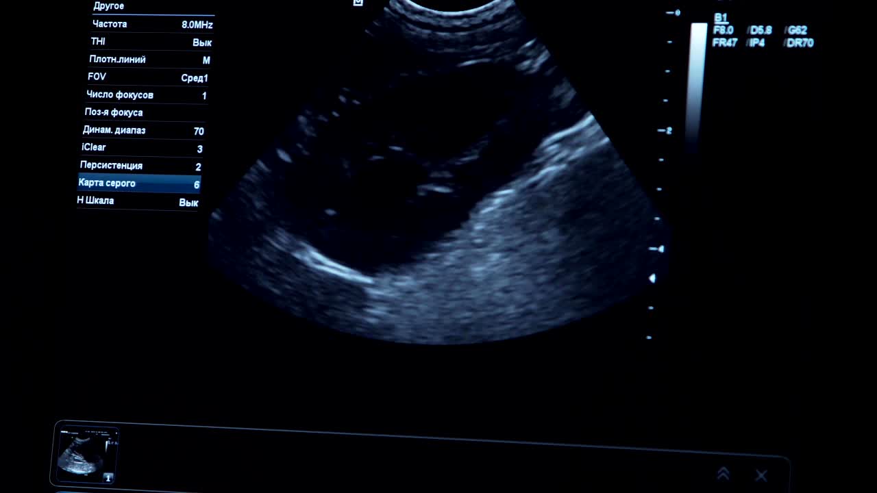 Diagnostica ecografica in clinica veterinaria