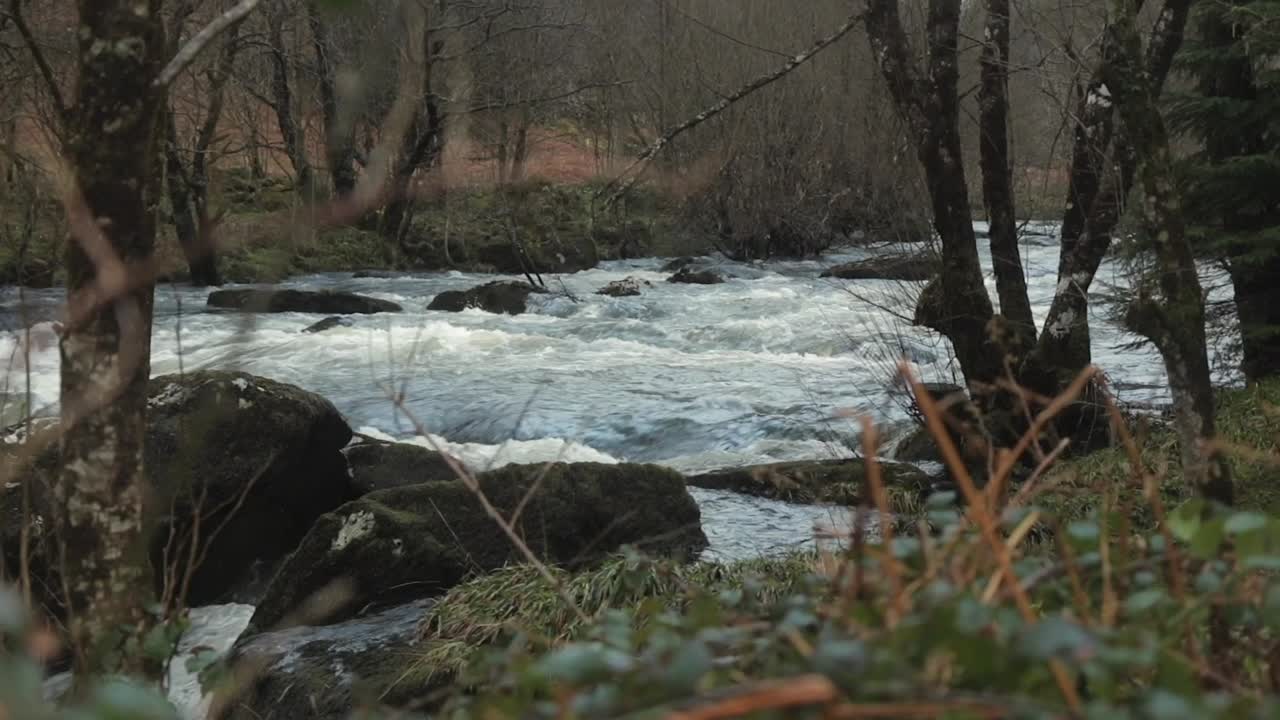 Fiume Afon Lledr, acqua che scorre velocemente.