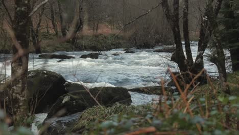 Río-Afon-Lledr,-Agua-Corriente