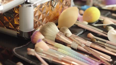 kit of makeup brushes of different sizes arranged on a table next to their case