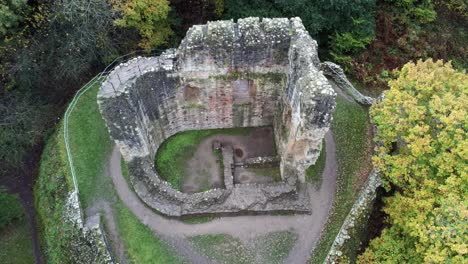 aerial view above ewloe castle abandoned ruins hidden in autumn woodland birdseye orbit left