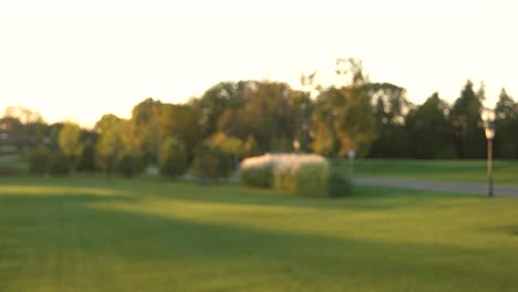 blurred trees and lawn.