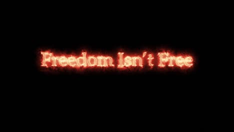 la libertad no es libre escrita con fuego.