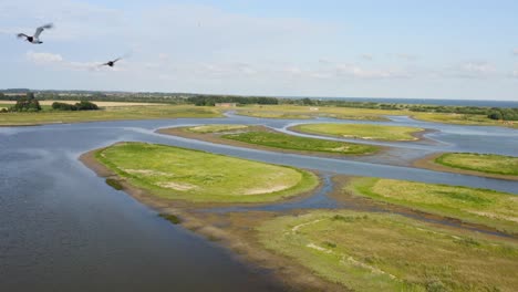 Toma-Aérea-Hacia-Atrás-De-Las-Gaviotas-Que-Vuelan-Sobre-Las-Dunas-De-Agua---Un-área-Natural-Y-Un-Parque-Recreativo-En-La-Provincia-De-Zelanda,-Países-Bajos