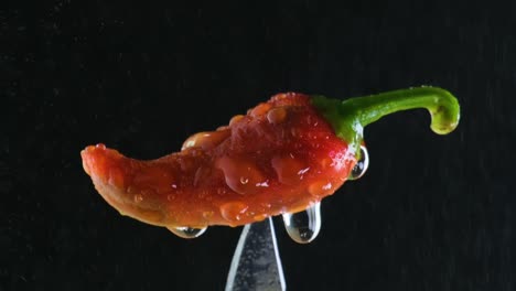 Rote-Chilischote-Steckt-In-Einem-Messer-Fest,-Nahaufnahme-Mit-Spritzendem-Wasser-Auf-Schwarzem-Hintergrund