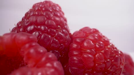 incredibly detailed and up close raspberries