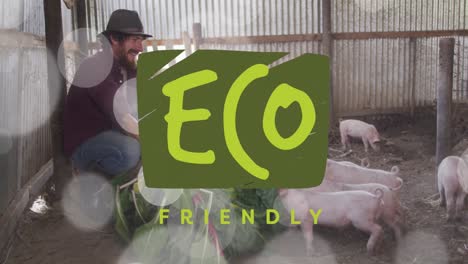 Animation-of-eco-friendly-text-banner-over-caucasian-man-feeding-the-pigs-at-a-pig-farm