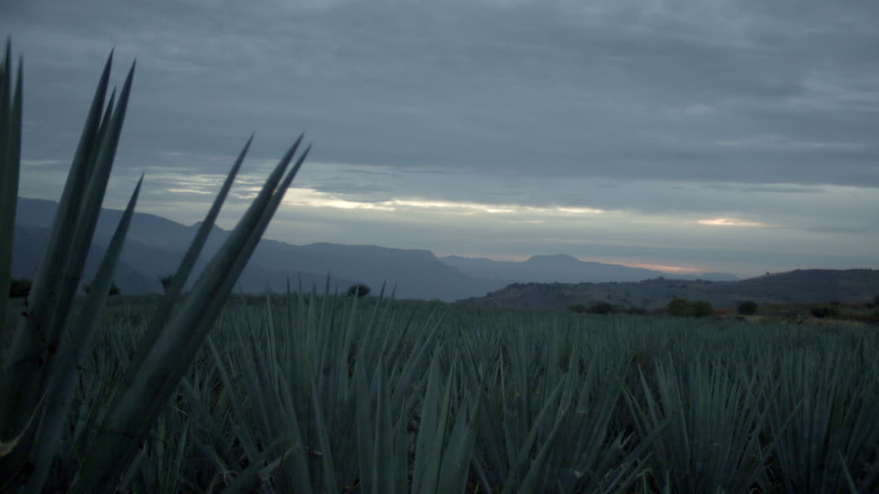 nubes moviéndose sobre campos de agave entre las montañas de tequila, jalisco, méxico