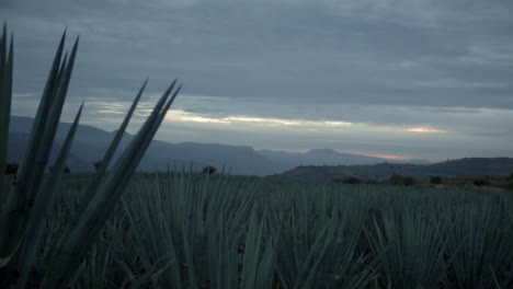 Wolken-Ziehen-über-Agavenfelder-Zwischen-Den-Bergen-Von-Tequila,-Jalisco,-Mexiko