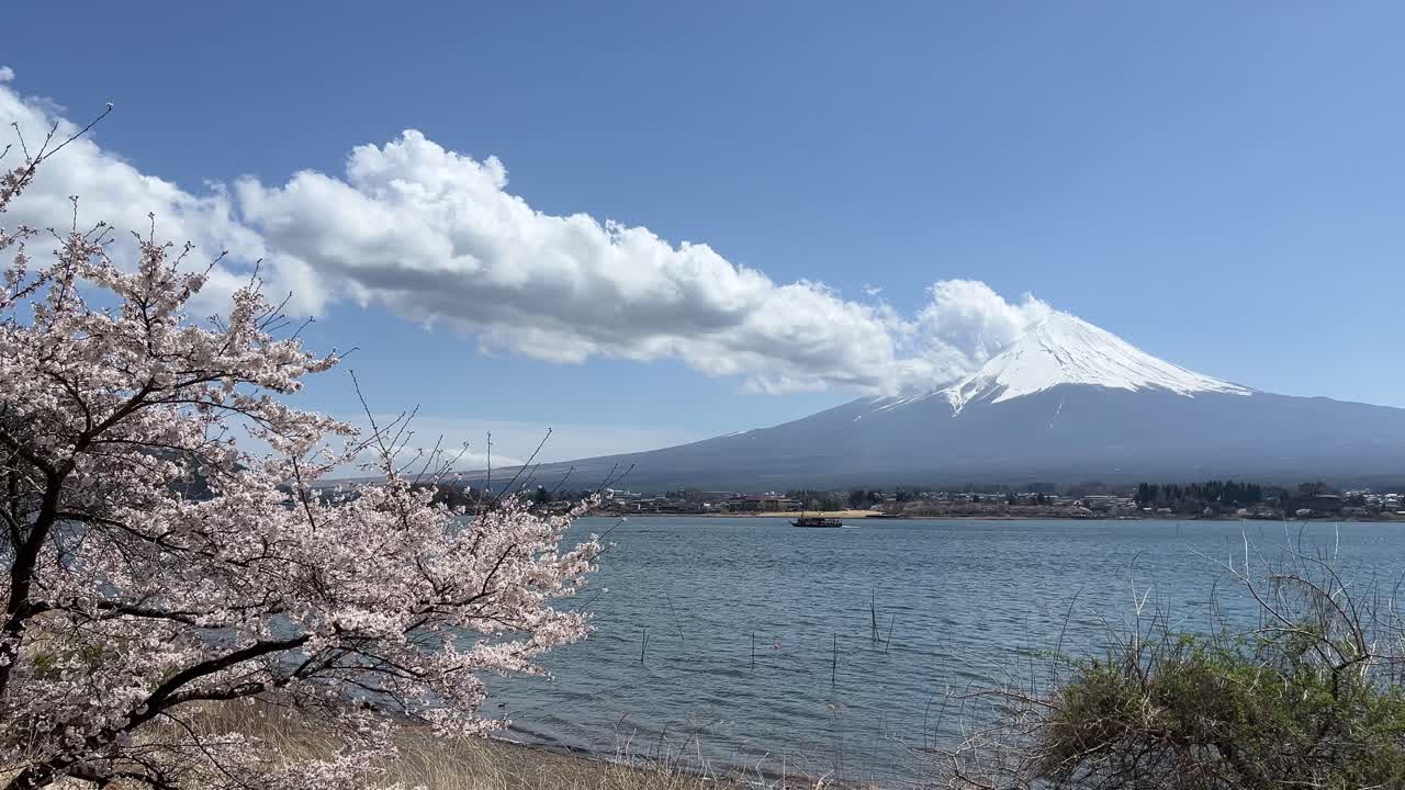 Wide open view over Lake Kawaguchiko, Mt. Fuji and Sakura