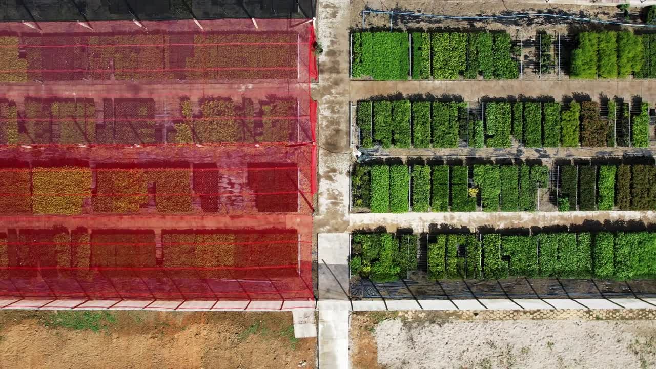 Aerial birdseye shot of greenhouse and plantation, tilt up revealing rural landscape