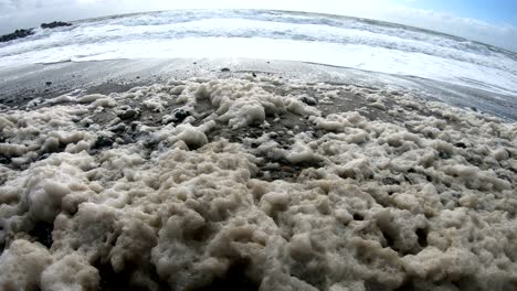 algae foam in storm on the beach, sandy beach with waves, north sea, jütland, sondervig, denmark, 4k