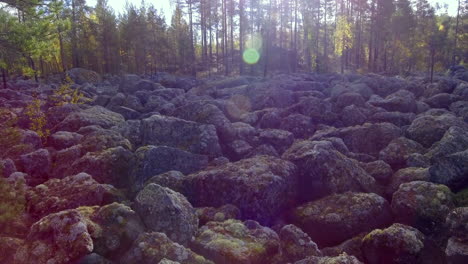 Impresionante-Campo-De-Guijarros-De-Roca-Moldeada-De-La-Edad-De-Hielo-En-El-Desierto-Finlandés